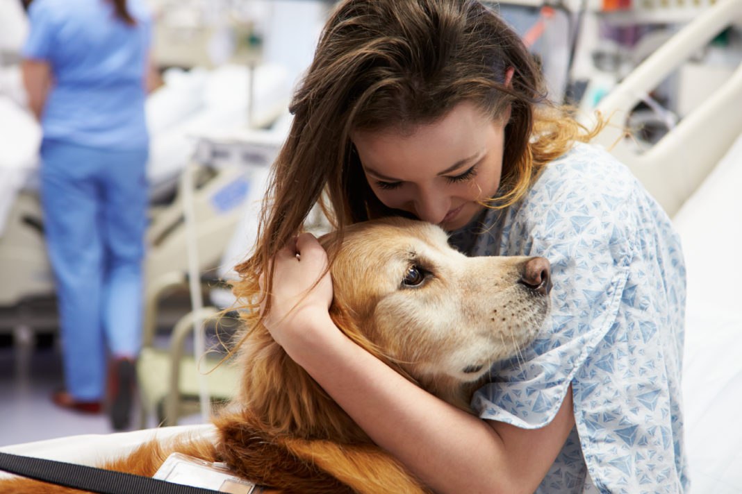 cure palliative con animali